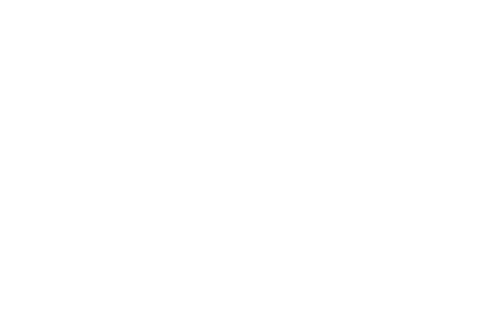 Start Gate